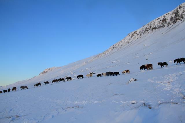 Guesthouse Hof In Vatnsdalur Hof i Vatnsdal Dış mekan fotoğraf